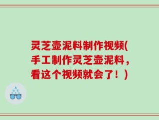 灵芝壶泥料制作视频(手工制作灵芝壶泥料，看这个视频就会了！)