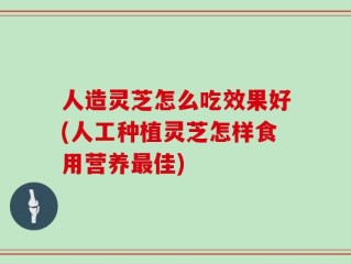 人造灵芝怎么吃效果好(人工种植灵芝怎样食用营养最佳)