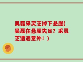 吴磊采灵芝掉下悬崖(吴磊在悬崖失足？采灵芝遭遇意外！)