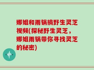 娜姐和雨锅摘野生灵芝视频(探秘野生灵芝，娜姐雨锅带你寻找灵芝的秘密)