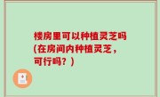 楼房里可以种植灵芝吗(在房间内种植灵芝，可行吗？)