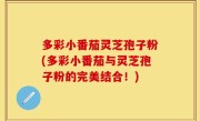多彩小番茄灵芝孢子粉(多彩小番茄与灵芝孢子粉的完美结合！)