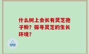 什么树上会长有灵芝孢子粉？探寻灵芝的生长环境？