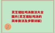 灵芝猪肚鸡汤做法大全图片(灵芝猪肚鸡汤的简单做法及步骤详解)