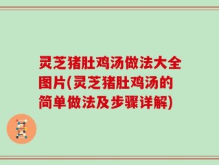 灵芝猪肚鸡汤做法大全图片(灵芝猪肚鸡汤的简单做法及步骤详解)