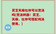 灵芝天麻杜仲可以煲汤吗(煲汤利器！灵芝、天麻、杜仲可搭配炖汤使用。)