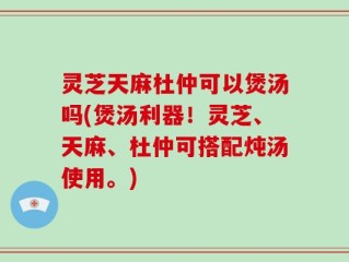 灵芝天麻杜仲可以煲汤吗(煲汤利器！灵芝、天麻、杜仲可搭配炖汤使用。)