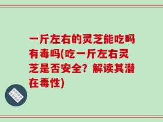 一斤左右的灵芝能吃吗有毒吗(吃一斤左右灵芝是否安全？解读其潜在毒性)