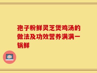 孢子粉鲜灵芝煲鸡汤的做法及功效营养满满一锅鲜