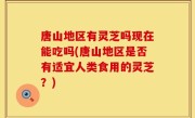 唐山地区有灵芝吗现在能吃吗(唐山地区是否有适宜人类食用的灵芝？)