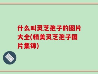 什么叫灵芝孢子的图片大全(精美灵芝孢子图片集锦)