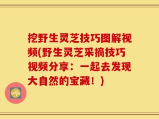挖野生灵芝技巧图解视频(野生灵芝采摘技巧视频分享：一起去发现大自然的宝藏！)