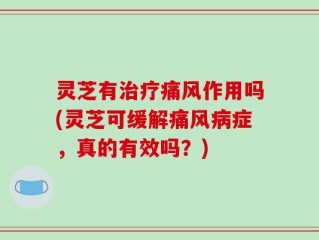 灵芝有治疗痛风作用吗(灵芝可缓解痛风病症，真的有效吗？)