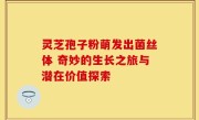 灵芝孢子粉萌发出菌丝体 奇妙的生长之旅与潜在价值探索