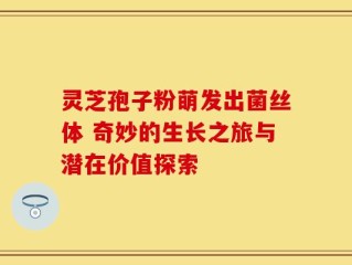 灵芝孢子粉萌发出菌丝体 奇妙的生长之旅与潜在价值探索