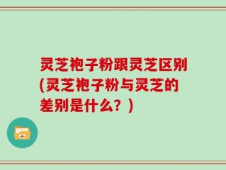 灵芝袍子粉跟灵芝区别(灵芝袍子粉与灵芝的差别是什么？)
