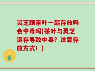 灵芝跟茶叶一起存放吗会中毒吗(茶叶与灵芝混存导致中毒？注意存放方式！)