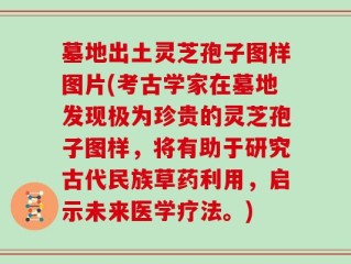 墓地出土灵芝孢子图样图片(考古学家在墓地发现极为珍贵的灵芝孢子图样，将有助于研究古代民族草药利用，启示未来医学疗法。)