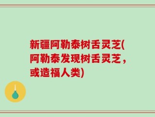 新疆阿勒泰树舌灵芝(阿勒泰发现树舌灵芝，或造福人类)