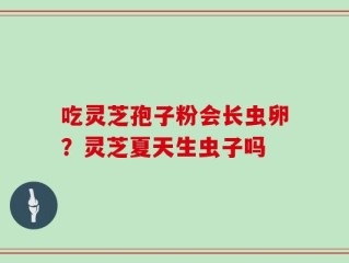 吃灵芝孢子粉会长虫卵？灵芝夏天生虫子吗