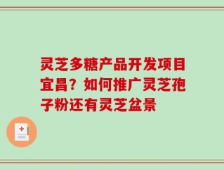 灵芝多糖产品开发项目宜昌？如何推广灵芝孢子粉还有灵芝盆景