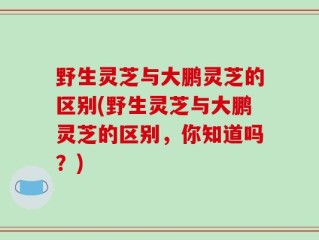 野生灵芝与大鹏灵芝的区别(野生灵芝与大鹏灵芝的区别，你知道吗？)