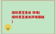 琼珍灵芝生长 环境(琼珍灵芝成长环境探秘)