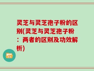 灵芝与灵芝孢子粉的区别(灵芝与灵芝孢子粉：两者的区别及功效解析)