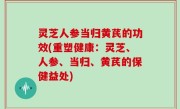 灵芝人参当归黄芪的功效(重塑健康：灵芝、人参、当归、黄芪的保健益处)