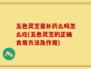 五色灵芝是补药么吗怎么吃(五色灵芝的正确食用方法及作用)