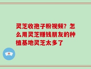 灵芝收孢子粉视频？怎么用灵芝赚钱朋友的种植基地灵芝太多了
