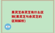 黑灵芝赤灵芝有什么区别(黑灵芝与赤灵芝的区别解析)