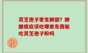 灵芝孢子寄生肺部？肺腺癌应该吃哪些东西能吃灵芝孢子粉吗