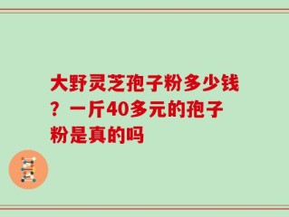 大野灵芝孢子粉多少钱？一斤40多元的孢子粉是真的吗