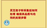 灵芝孢子粉采集后如何处理 确保其品质与功效的关键步骤