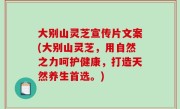 大别山灵芝宣传片文案(大别山灵芝，用自然之力呵护健康，打造天然养生首选。)