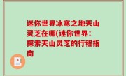 迷你世界冰寒之地天山灵芝在哪(迷你世界：探索天山灵芝的行程指南
