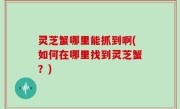 灵芝蟹哪里能抓到啊(如何在哪里找到灵芝蟹？)