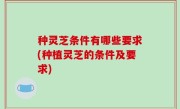 种灵芝条件有哪些要求(种植灵芝的条件及要求)