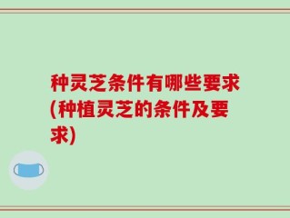 种灵芝条件有哪些要求(种植灵芝的条件及要求)