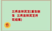 三秀吉祥灵芝(重生新生  三秀吉祥灵芝开花结果)