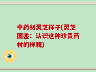 中药材灵芝样子(灵芝图鉴：认识这种珍贵药材的样貌)