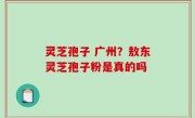 灵芝孢子 广州？敖东灵芝孢子粉是真的吗
