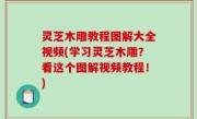 灵芝木雕教程图解大全视频(学习灵芝木雕？看这个图解视频教程！)