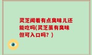 灵芝闻着有点臭味儿还能吃吗(灵芝虽有臭味但可入口吗？)
