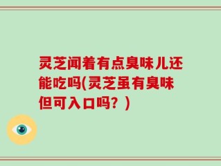 灵芝闻着有点臭味儿还能吃吗(灵芝虽有臭味但可入口吗？)