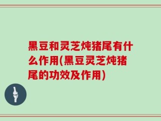 黑豆和灵芝炖猪尾有什么作用(黑豆灵芝炖猪尾的功效及作用)
