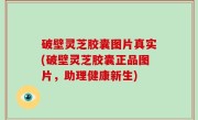 破壁灵芝胶囊图片真实(破壁灵芝胶囊正品图片，助理健康新生)