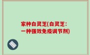 家种白灵芝(白灵芝：一种强效免疫调节剂)