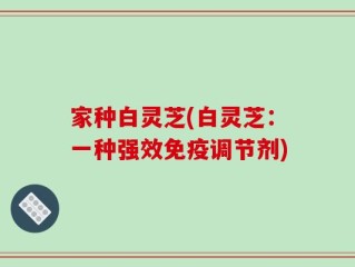 家种白灵芝(白灵芝：一种强效免疫调节剂)
